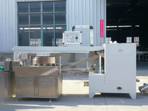 FLD-LARGE CRAFT LOLLIPOP FORMING MACHINE, LOLLIPOP FORMING MACHINE